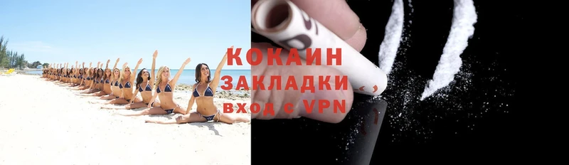 Cocaine Fish Scale  mega сайт  Гаджиево 